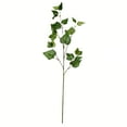 thumbnail image 1 of Vickerman 32" Artificial Green Ivy Spray. Includes 3 sprays per pack., 1 of 4