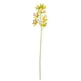 thumbnail image 1 of Vickerman 32" Artificial Green Orchid Stem, 1 of 1