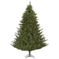 thumbnail image 1 of Vickerman 321645 - 6.5' x 58" Modesto Mixed Pine 450 Warm White Italian LED Lights Christmas Tree (A140666LED), 1 of 2