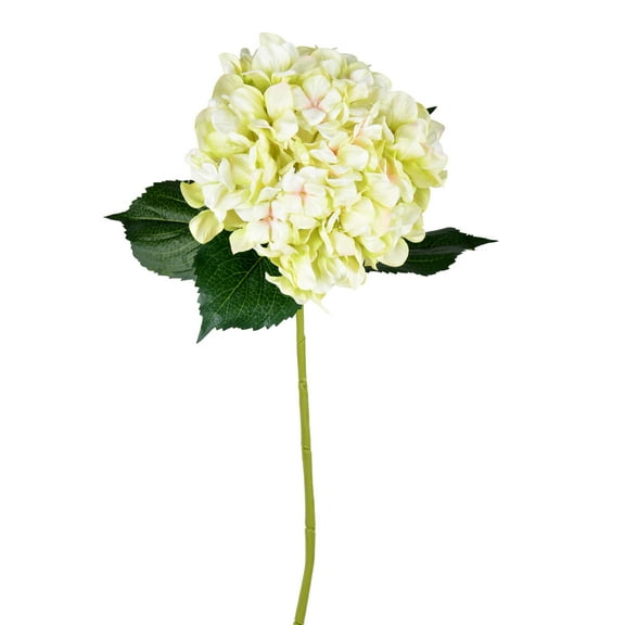Vickerman 33'' Artificial Green Hydrangea Spray. Includes 2 sprays per pack.