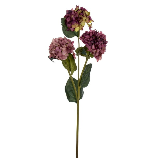 Vickerman 33