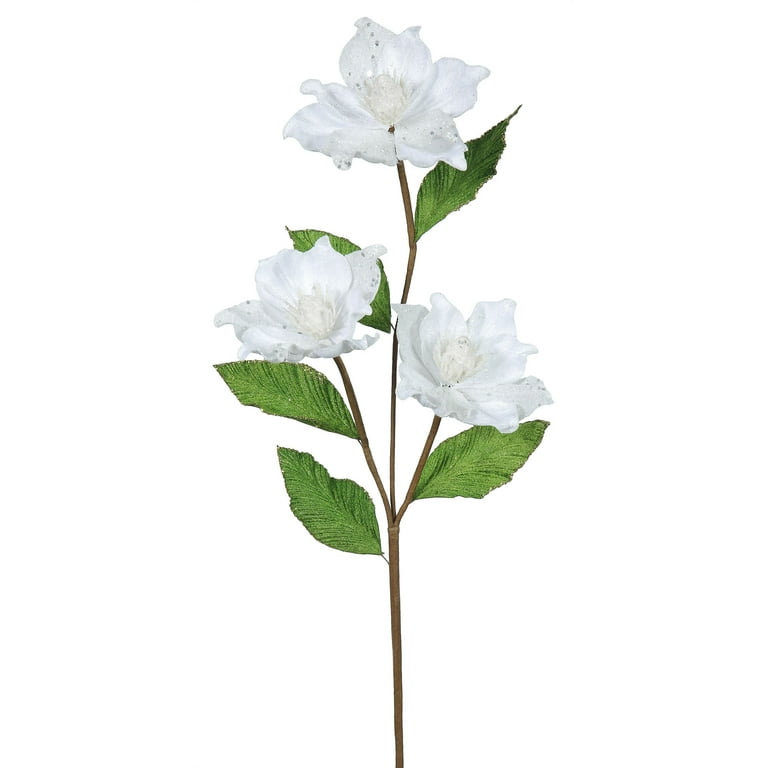 Vickerman 33