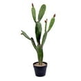 thumbnail image 1 of Vickerman 34" Artificial Green Cactus, Black Plastic Planters Pot., 1 of 7