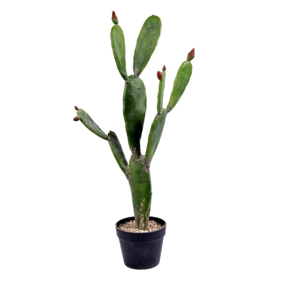 Vickerman 34" Artificial Green Cactus, Black Plastic Planters Pot.