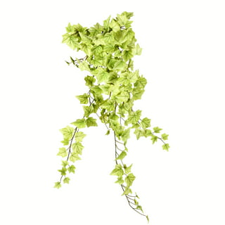 36 Strands 248FT Fake Ivy Garlands Leaves Artificial Vines Faux Green  Hanging Plants for Bedroom Wall House Decor Outdoor Wedding Photography