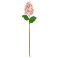 thumbnail image 1 of Vickerman 34" Artificial Pink Cone Hydrangea Spray. 2 Stems In A Bag., 1 of 2