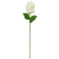 thumbnail image 1 of Vickerman 34" Artificial White Cone Hydrangea Spray. 2 Stems In A Bag., 1 of 2