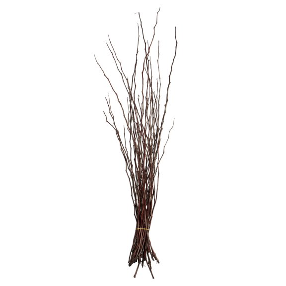 Vickerman 35-40" Brown Moneta Branches, 8 oz Bundle, Dried