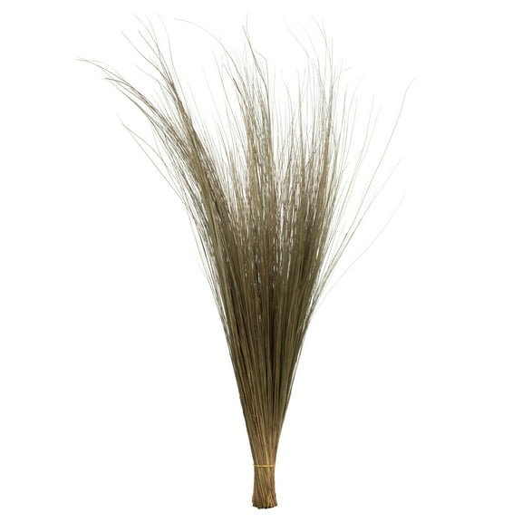 Vickerman 35-40" Natural Bright Grass 80z Bunch, 2 pack, Dried
