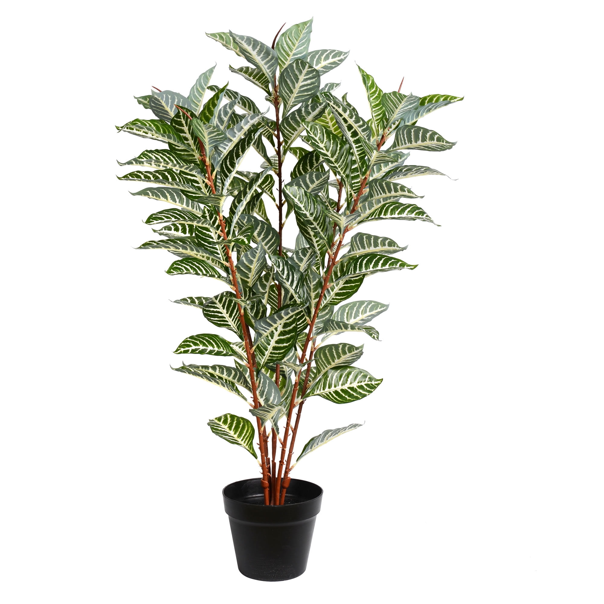 Tiny Green Faux Zebra Plant in Black Pot