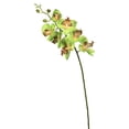 thumbnail image 1 of Vickerman 35" Green Real Touch Orchid Artificial Floral Stem, 1 of 3
