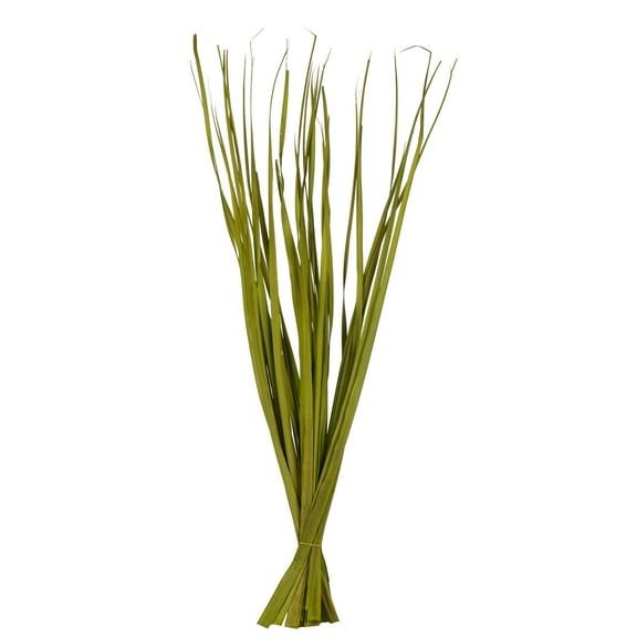 Vickerman 36-40" Basil Rush Grass, 7 oz Bundle, Dried