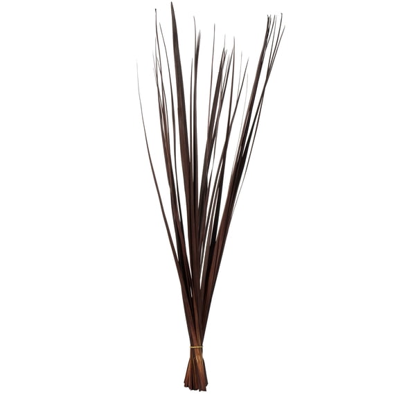 Vickerman 36-40" Brown Sable Grass, 7 oz Bundle, Dried