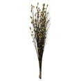 thumbnail image 1 of Vickerman 36-40" Long Stem Bell Grass with Basil Colored Seed Pods, 2 per pack, Preserved, 1 of 5