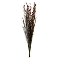 thumbnail image 1 of Vickerman 36-40" Long Stem Bell Grass with Merlot Colored Seed Pods, 2 per pack, Preserved, 1 of 5