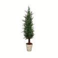 thumbnail image 1 of Vickerman 36" Artificial Potted Cedar Tree in Paper Pot., 1 of 3