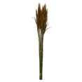 thumbnail image 1 of Vickerman 36" Aspen Gold Plume Reed Bundle (15-20 stems), Preserved, 1 of 4