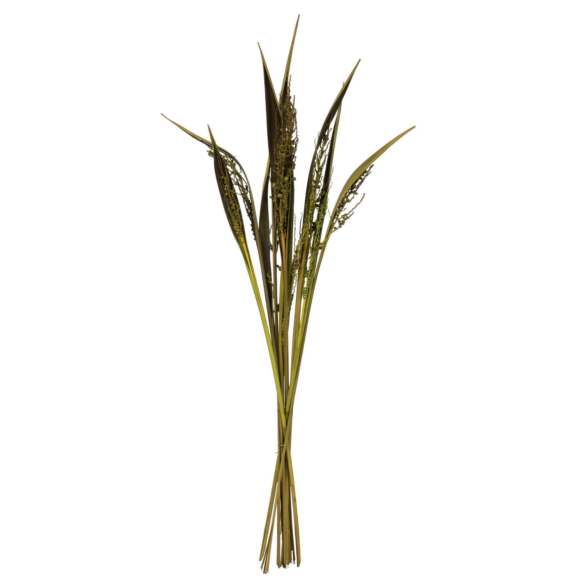 Vickerman 36" Basil Bahia Spears Seeded, 9 stems, Dried