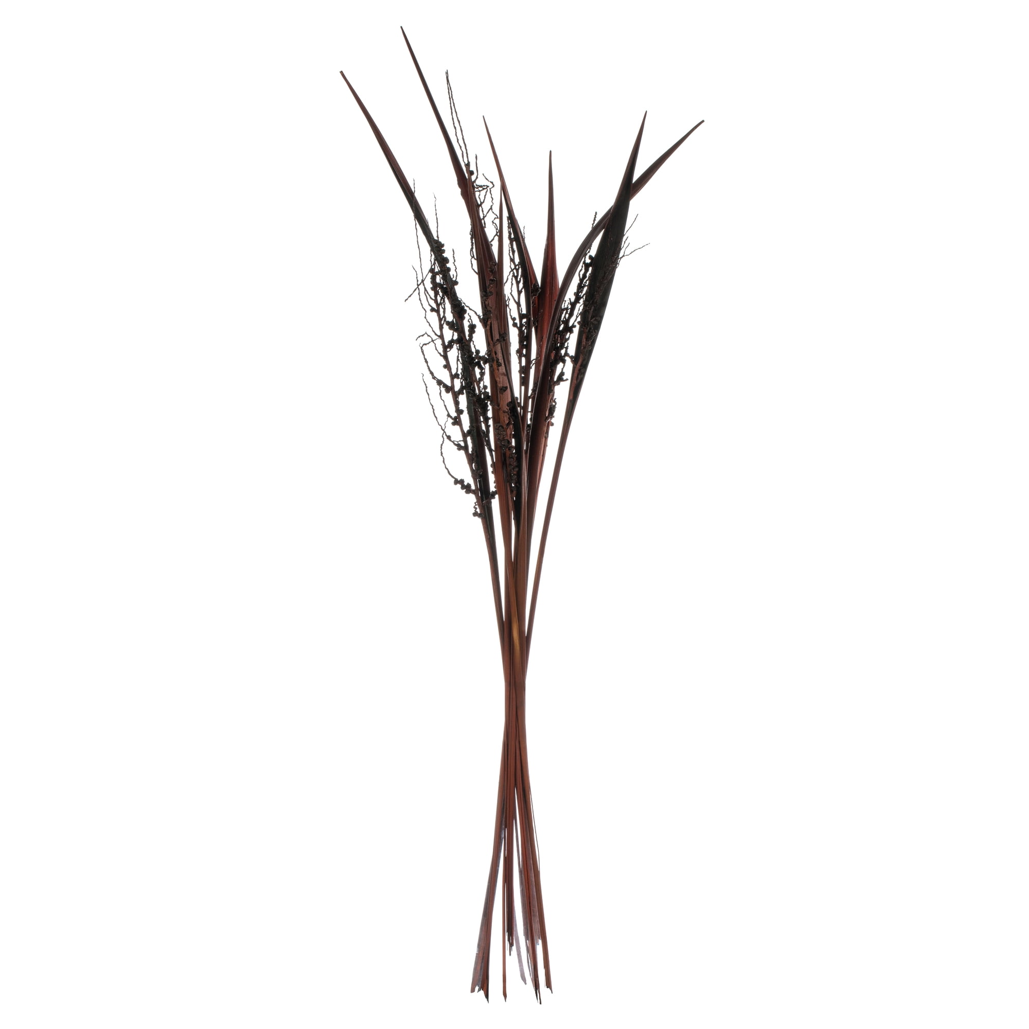 Vickerman 36" Dark Brown Bahia Spears Seeded, 9 stems, Dried
