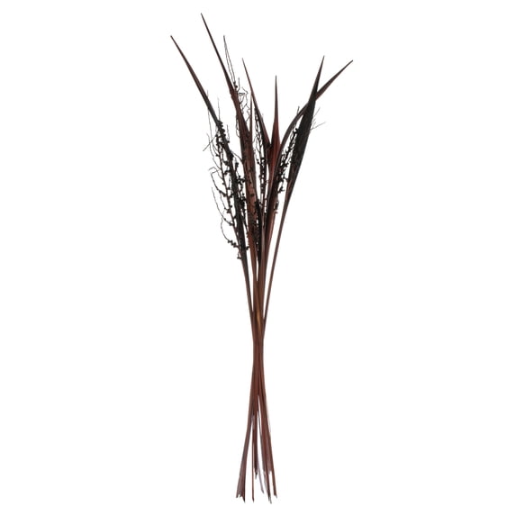 Vickerman 36" Dark Brown Bahia Spears Seeded, 9 stems, Dried