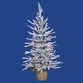 thumbnail image 1 of Vickerman 36" Flocked Angel Pine Artificial Christmas Tree, Clear Dura-lit Lights, 1 of 3