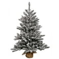 thumbnail image 1 of Vickerman 36" Flocked Anoka Pine Artificial Christmas Tree, Clear Lights, 1 of 3