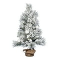thumbnail image 1 of Vickerman 36" Frosted Beacon Pine Artificial Christmas Tree, Unlit, 1 of 3