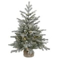 thumbnail image 1 of Vickerman 36" Frosted Sable Pine Artificial Christmas Tree, Warm White Dura-Lit® LED Lights, 1 of 3