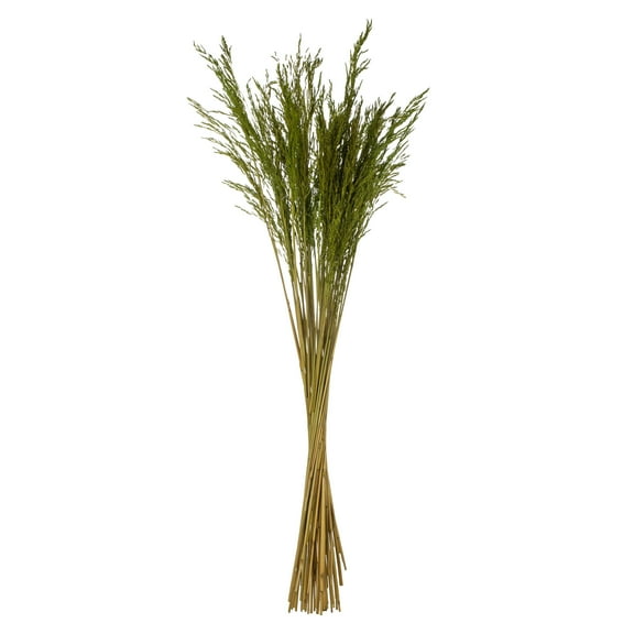 Vickerman 36" Green Congo Grass, 8 oz Bundle, Dried