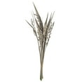 thumbnail image 1 of Vickerman 36" White Wash Bahia Spears with Seeds, 2 pack, Dried, 1 of 5