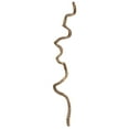 thumbnail image 1 of Vickerman 38-45" Natural Twisted Vine. Includes 2 Vines per Pack, Dried, 1 of 6