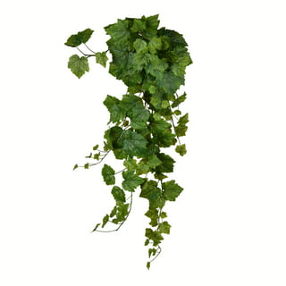 2 Bunch Artificial Silk Scindapsus Plastic Ivy Vines Fake Ivy Garland for Wedding Party Decoration Garden Wall Greenery Decoration