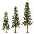thumbnail image 1 of Vickerman 4' 5' 6' Natural Alpine Artificial Christmas Tree Set, Warm White LED Lights, Set of 3, 1 of 6