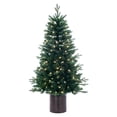 thumbnail image 1 of Vickerman B245046LED 4.5 ft. x 30 in. Potted Spruce Dura-Lit 120 Warm White Christmas Tree, Green, 1 of 1
