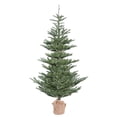 thumbnail image 1 of Vickerman 4' Alberta Spruce Artificial Christmas Tree, Unlit, 1 of 3