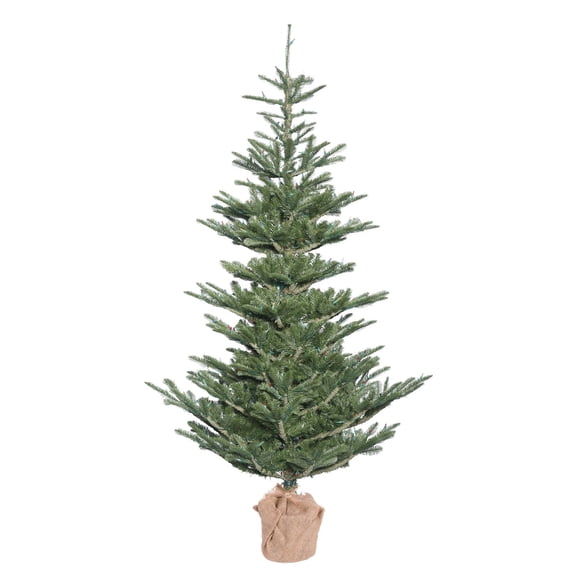 Vickerman 4' Alberta Spruce Artificial Christmas Tree, Unlit