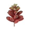 thumbnail image 1 of Vickerman 4" Artificial Assorted Succulent Picks, 6 per Bag, 1 of 4