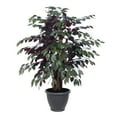 thumbnail image 1 of Vickerman 4' Artificial Capensia Extra Full Bush, Gray Round Plastic Container., 1 of 3