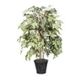 thumbnail image 1 of Vickerman 4' Artificial Frosted Maple Bush, Rattan Basket., 1 of 2