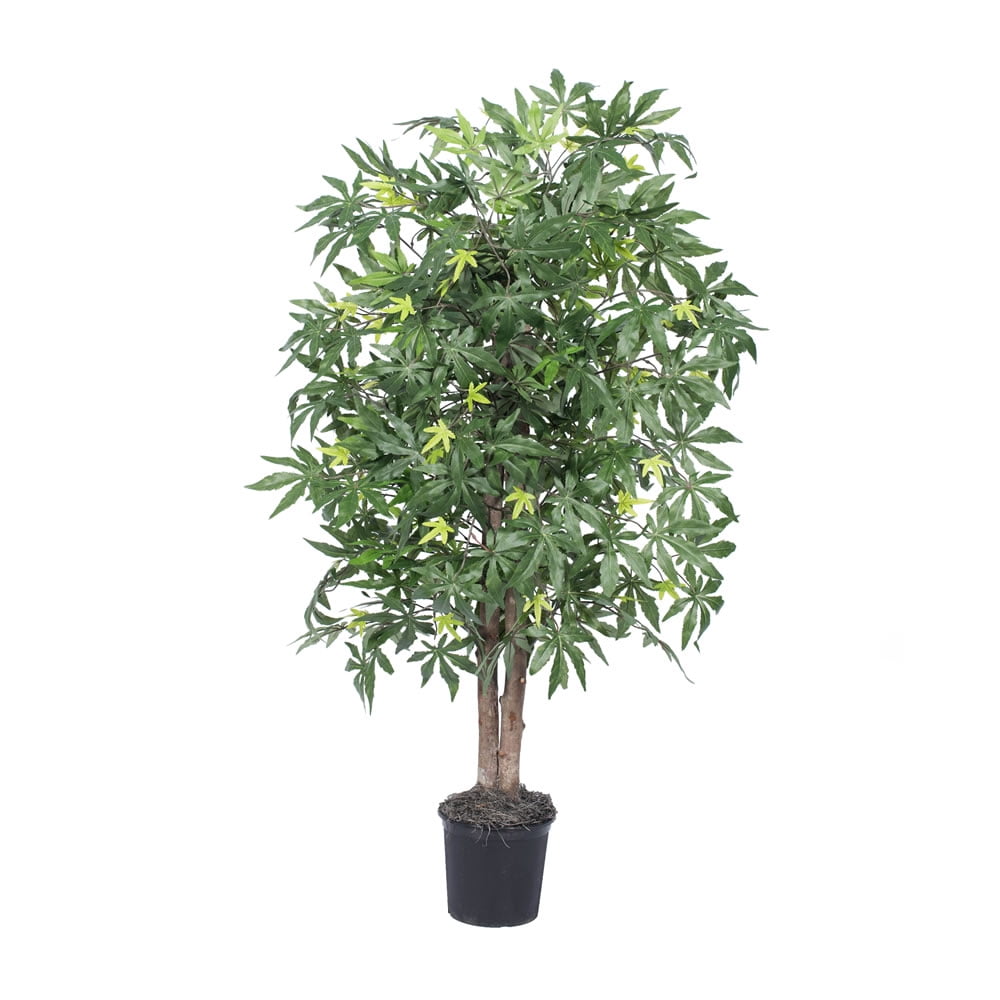 59" Outdoor Silk Japanese Maple Bush in Black Plastic Pot