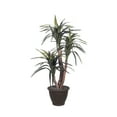 thumbnail image 1 of Vickerman 4' Artificial Marginata Extra Full Bush, Brown Plastic Container., 1 of 4