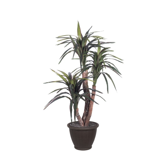 Vickerman 4' Artificial Marginata Extra Full Bush, Brown Plastic Container.