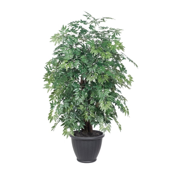 Vickerman 4' Artificial Ming Aralia Extra Full Bush, Gray Round Plastic Container.