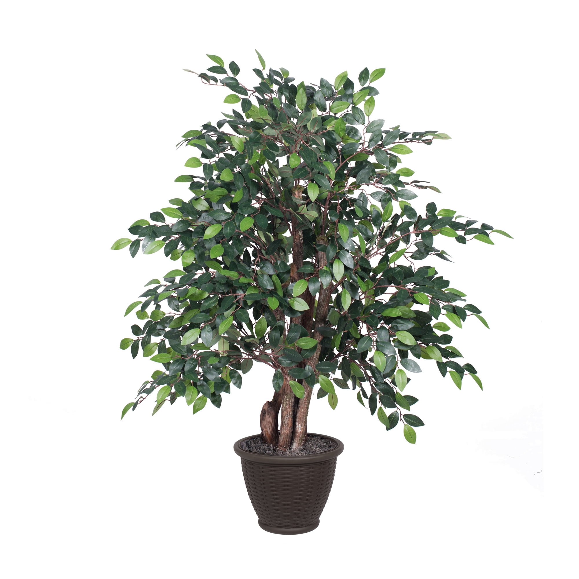 Vickerman 4' Artificial Mini Ficus Extra Full Bush, Brown Plastic ...