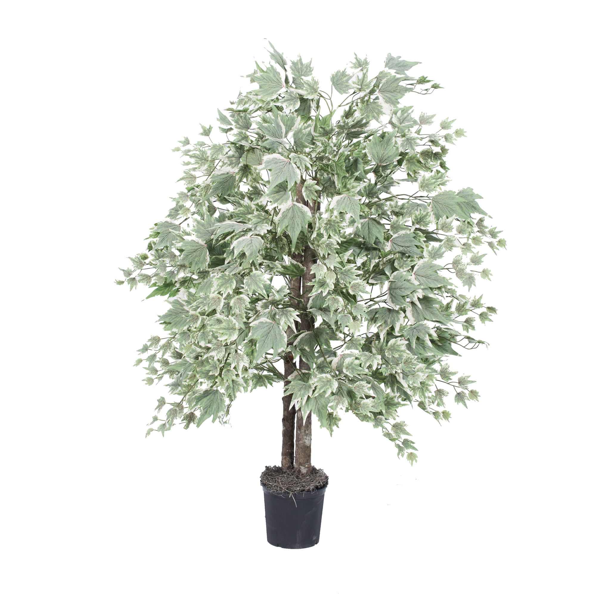 Elegant 4' Silver Maple Silk Bush in Sleek Black Plastic Pot