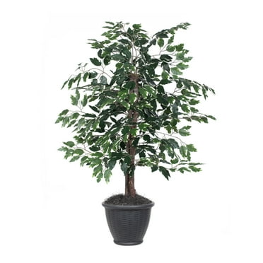 Vickerman 4' Artificial Variegated Ficus Bush, Gray Round Plastic Container.
