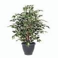 thumbnail image 1 of Vickerman 4' Artificial Variegated Ficus Extra Full Bush, Gray Round Plastic Container., 1 of 3