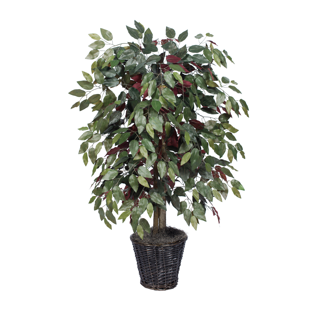 Vickerman 4-Feet Artificial Capensia Bush in Decorative Rattan Basket - Artificial Capensia Bush in Brown Rattan Basket - 4-Foot Tall Faux Ficus Bush - Realistic-Looking Fake Tree for Indoor Decor - image 1 of 6