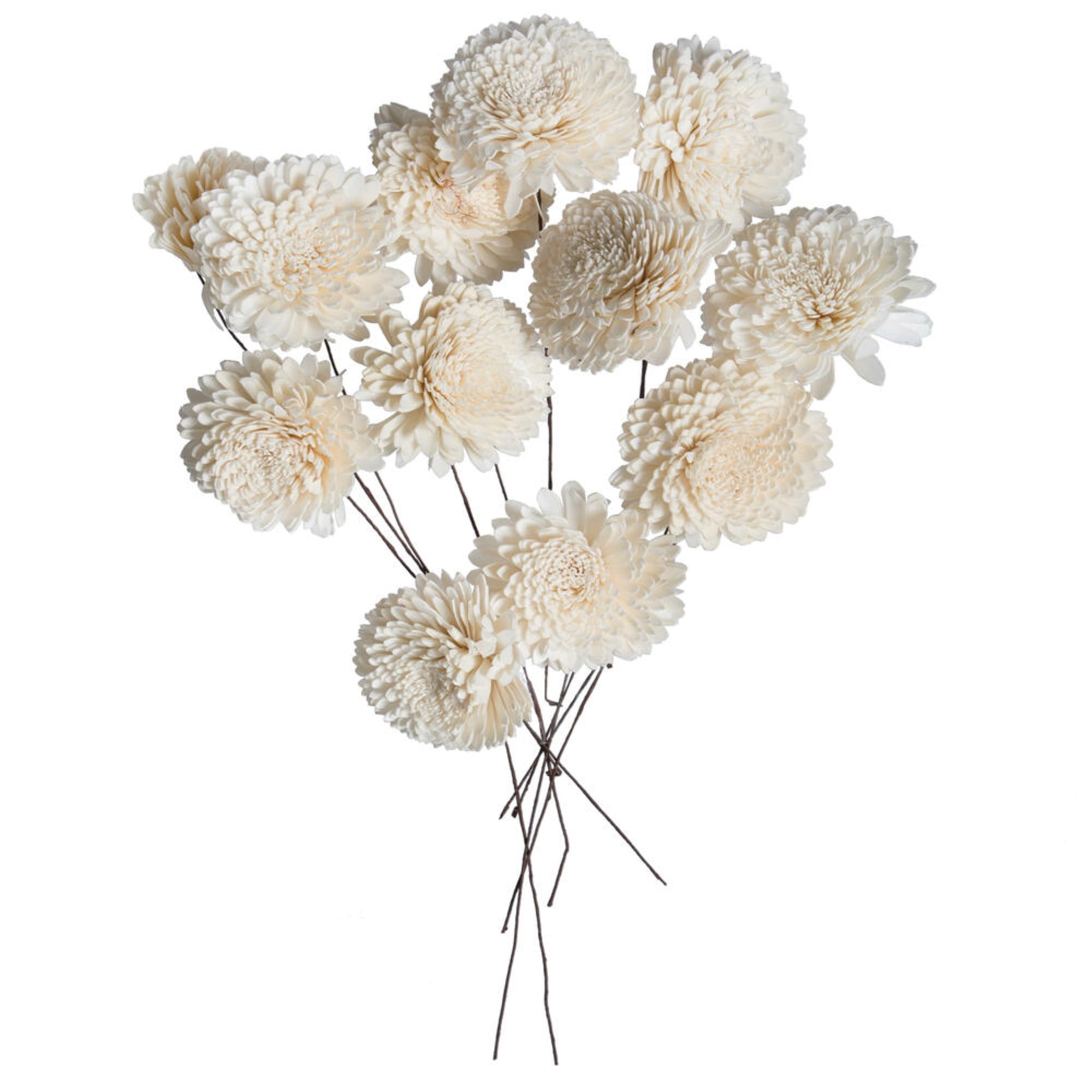 Vickerman 4" Natural Dried Zinnia Sola Flower on 12" Wire Stem, 12 Stems per Bag