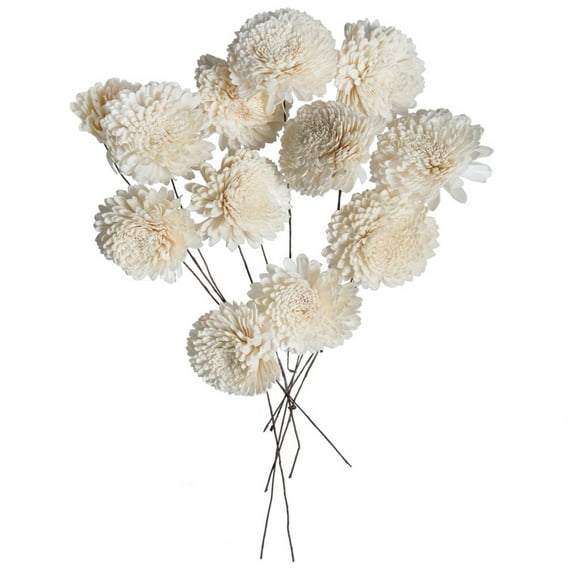 Vickerman 4" Natural Dried Zinnia Sola Flower on 12" Wire Stem, 12 Stems per Bag